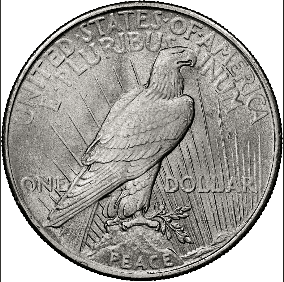 1 US peace Dollar in zilver